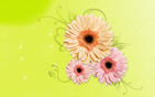 Flower Wallpapers new 9